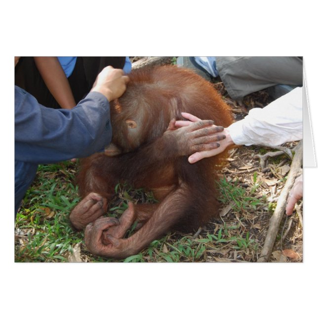 Cartão Uma Mão Ajudante para Orangutanos (Frente Horizontal)
