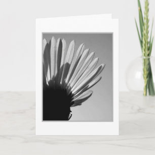 Cartão Uma Morte Cai. .