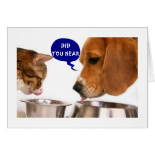 CARTÃO UMA MULHER JOVEM MUITO ESPECIAL É ***21***