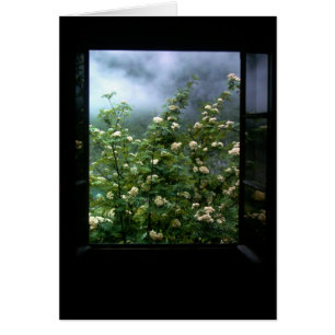 CARTÃO UMA MULHER NO AMOR