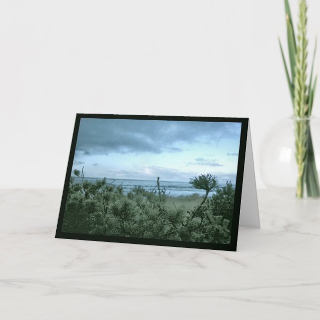 Cartão Uma noite de pinheiro de praia (Frente)