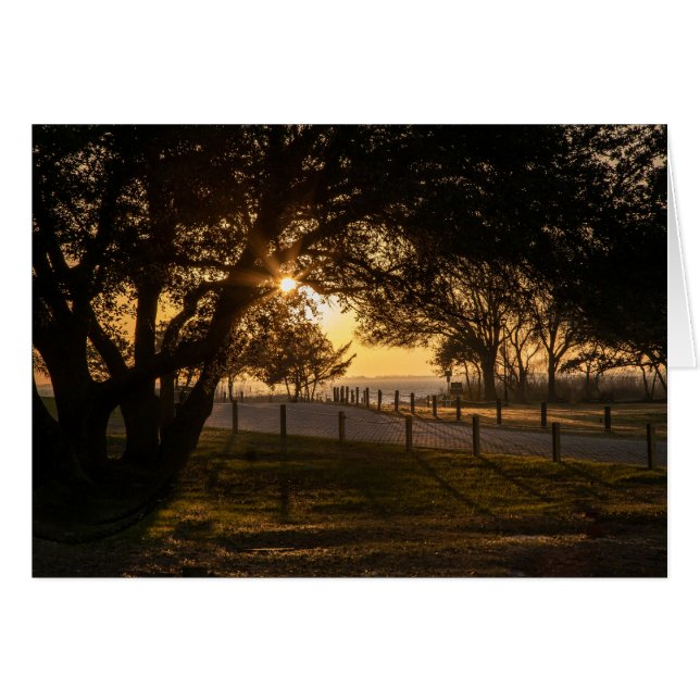 Cartão Uma Noite Em Whalehead (Frente Horizontal)