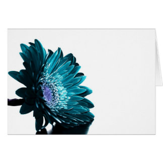 Cartão Uma noite enluarada