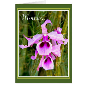 Cartão Uma Orquídea Para A Mãe