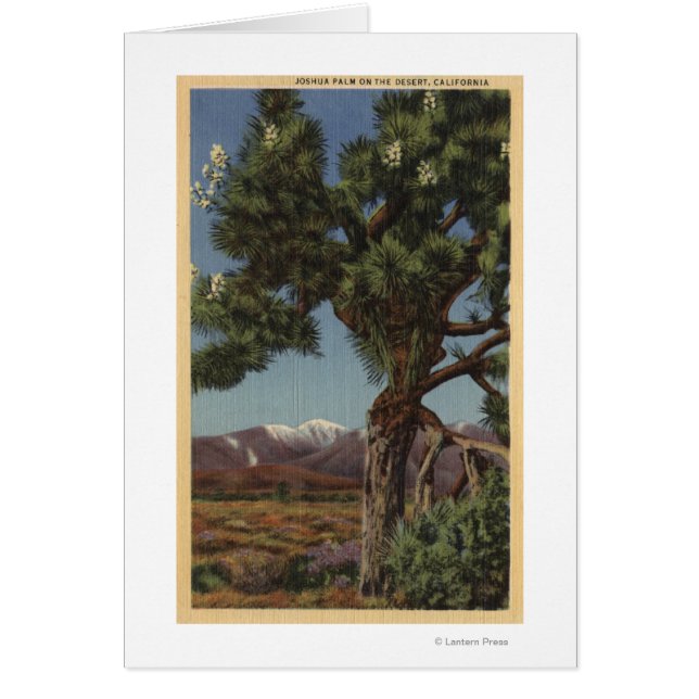 Cartão Uma Palma de Joshua em Bloom no Deserto da Califór (Frente)