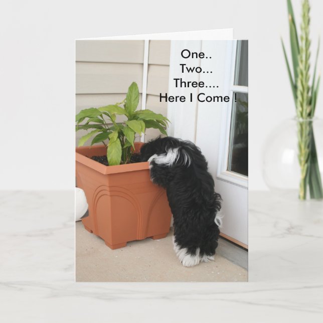 Cartão Uma placa de dois três (Frente)