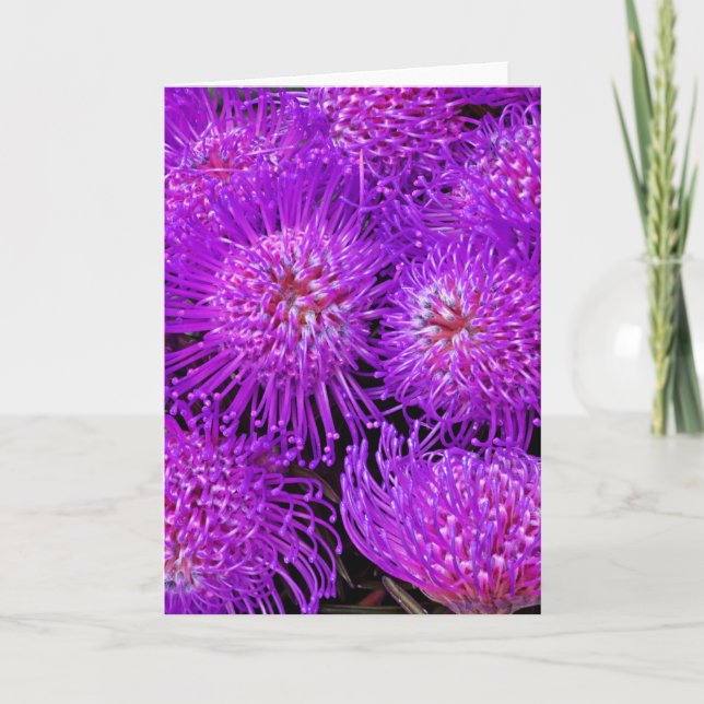 Cartão Uma Placa De Flor Divertida (Frente)