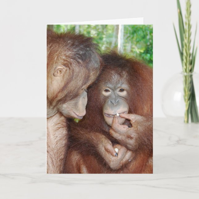 Cartão Uma princesa recebe todos os tratamentos (Frente)