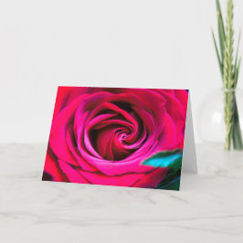 Cartão Uma Rosa é Apenas Uma Rosa