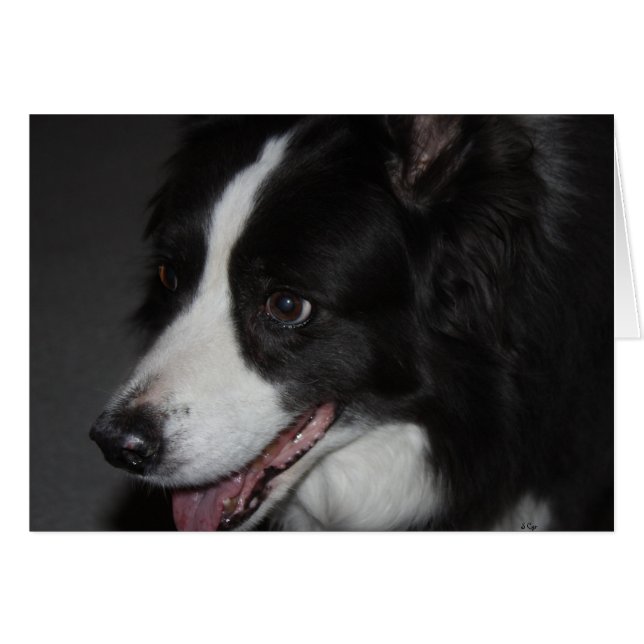 Cartão Uma Senhora (Frente Horizontal)