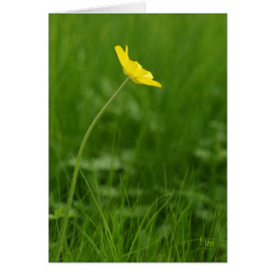Cartão uma única flor