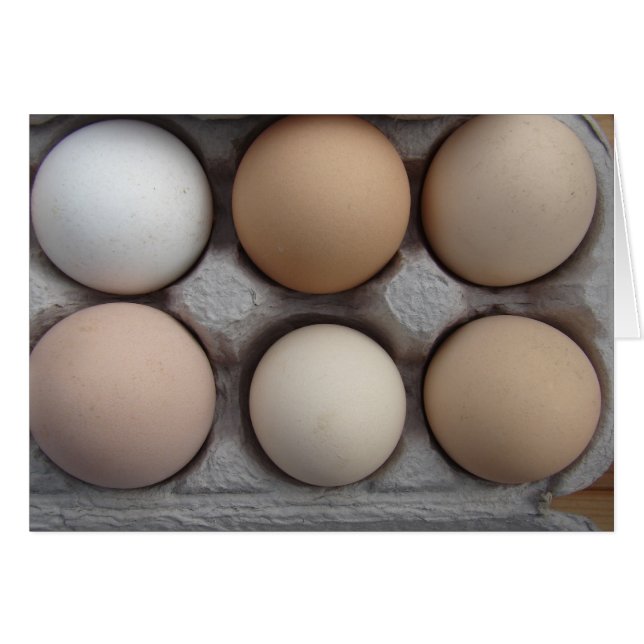 Cartão Uma Variedade Larga (Frente Horizontal)