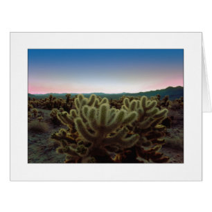 Cartão "Uma Visão Pontifícia"