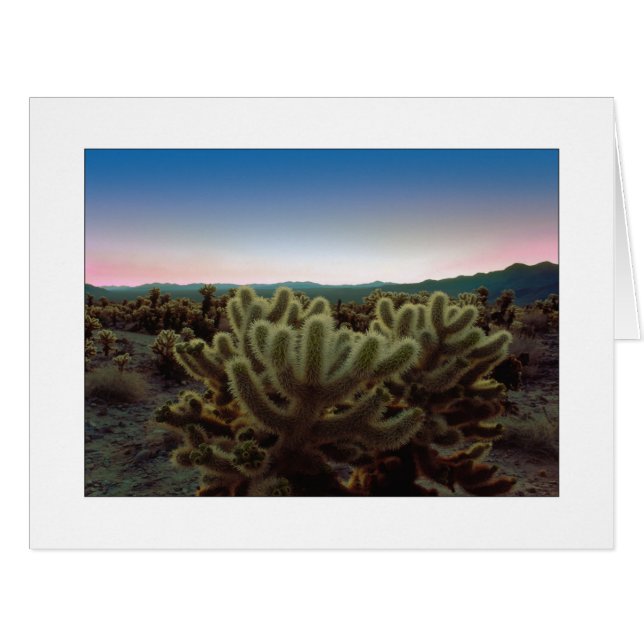 Cartão "Uma Visão Pontifícia" (Frente horizontal)