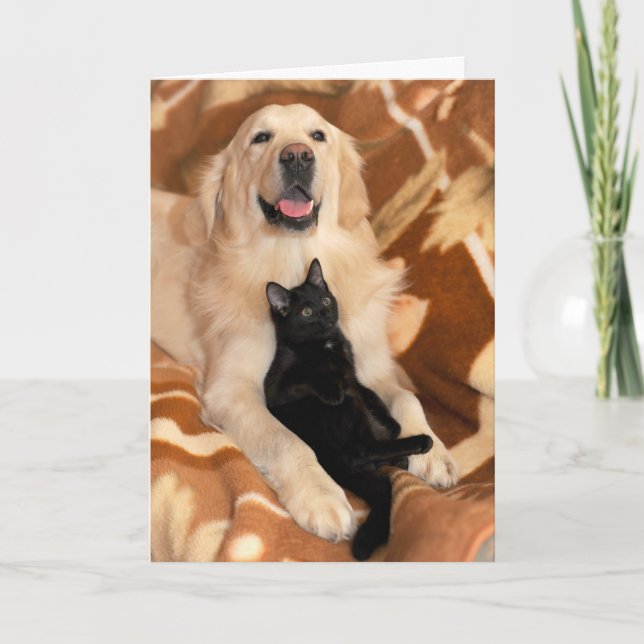 Cartão Unconditional Friendship Friends Dog & Cat (Frente)
