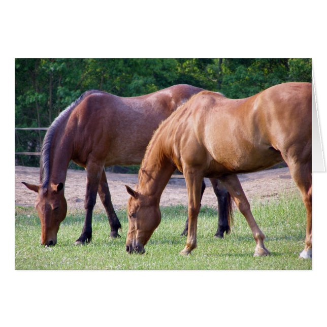 Cartão união (Frente Horizontal)