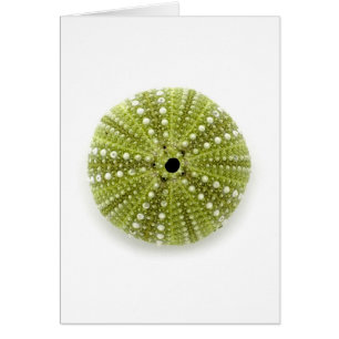 Cartão Único diabrete de mar