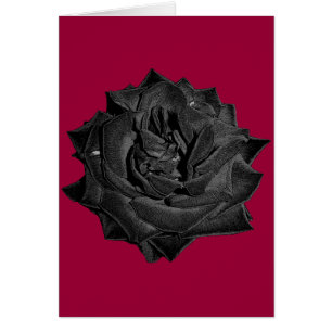 Cartão Único rosa do preto