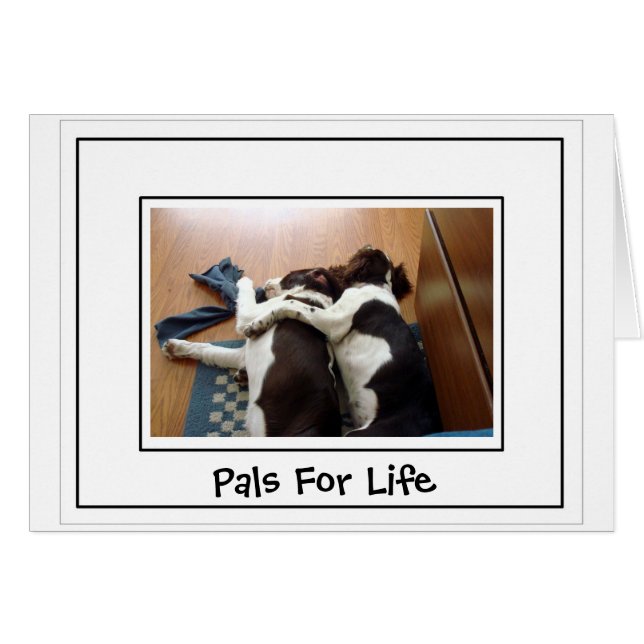 Cartão Unidade (Frente Horizontal)