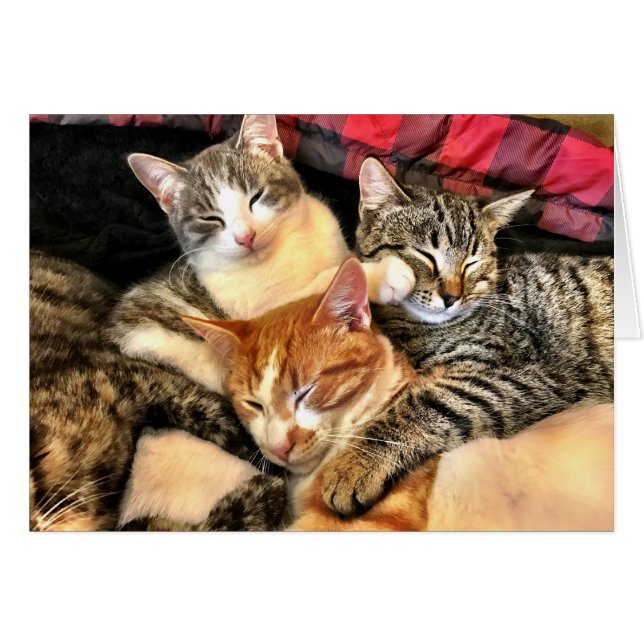 Cartão Unidade (Frente Horizontal)