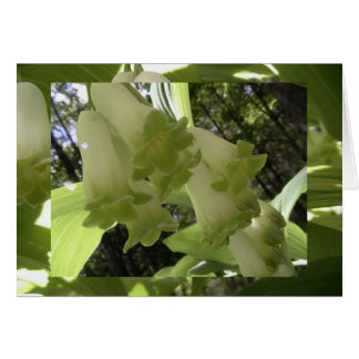 Cartão unidade em equilíbrio