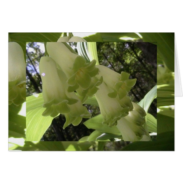 Cartão unidade em equilíbrio (Frente Horizontal)