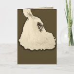 Cartão Unknown Bride<br><div class="desc">Wedding Card..    Congratulations..  to the bride and groom. can be  customized</div>