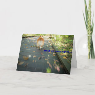 Cartão Until we meet again pet sympathy card