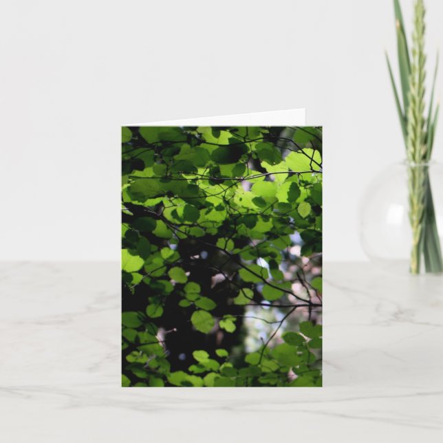 Cartão Up in the Trees Note Card (Frente)