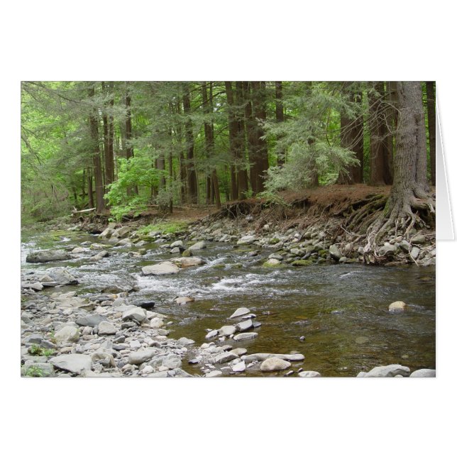 Cartão Upper Raymondability Falls (Frente horizontal)