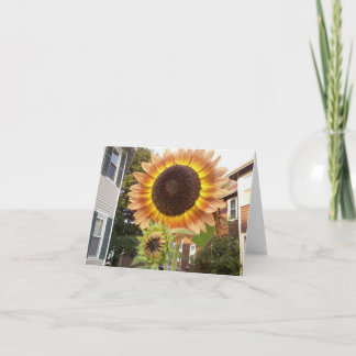 Cartão Urban Gardens Notecard