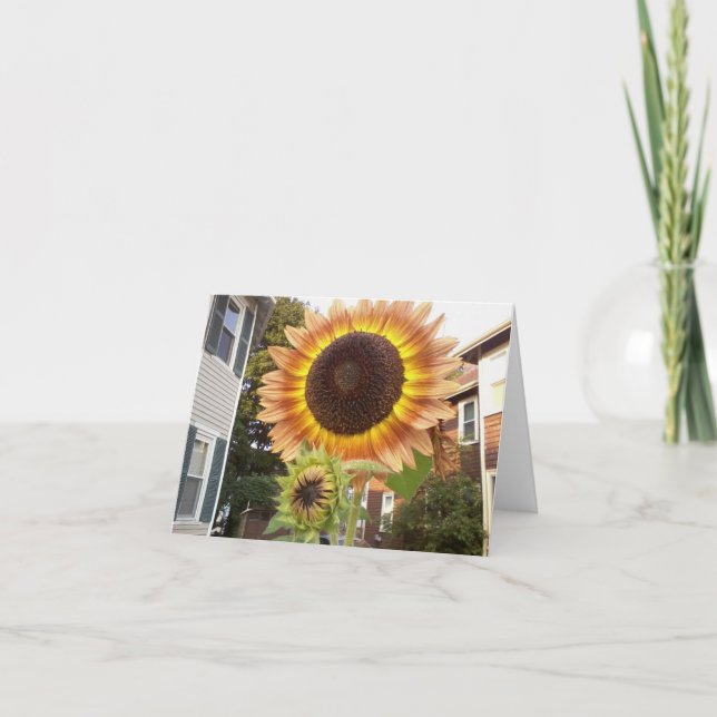 Cartão Urban Gardens Notecard (Frente)