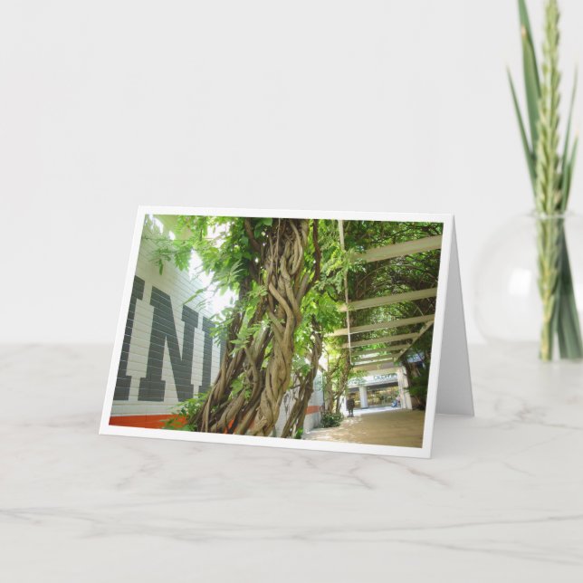 Cartão Urban Jungle (Frente)
