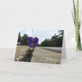 Cartão urban wildflower greeting card (blank inside)