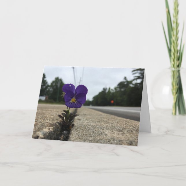 Cartão urban wildflower greeting card (blank inside) (Frente)