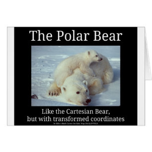 Cartão Urso Cartesiano Polar