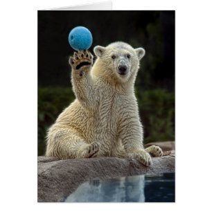 Cartão Urso Cub polar com bola