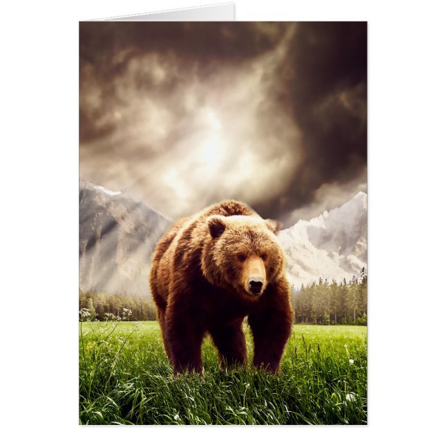 Cartão Urso de Montanha (Frente)