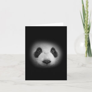 Cartão Urso De Panda Para Amantes de os animais E Ursos B