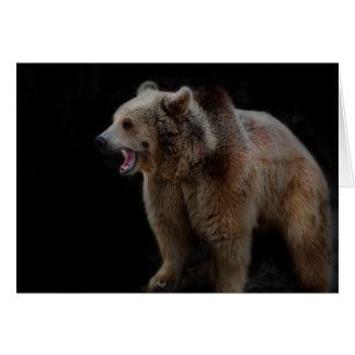 Cartão Urso Engraçado!