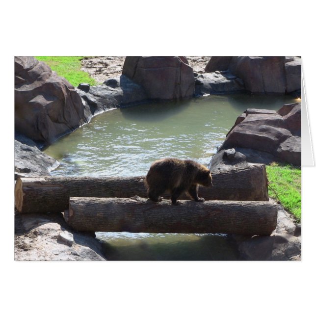 Cartão Urso Grizzly (Frente Horizontal)