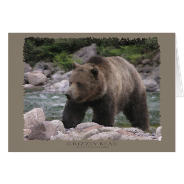Cartão Urso Grizzly - Pastas (Frente Horizontal)