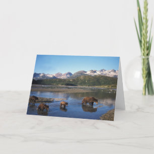 Cartão Urso marrom, urso pardo, porca e filhotes