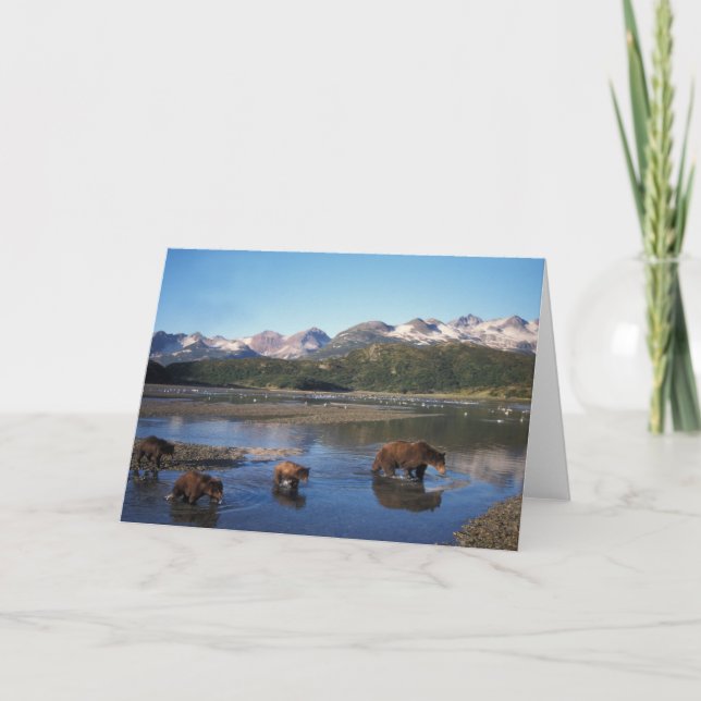 Cartão Urso marrom, urso pardo, porca e filhotes (Frente)