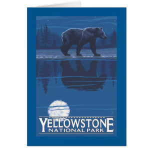 Cartão Urso no luar - parque nacional de Yellowstone
