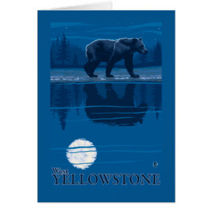 Cartão Urso no luar - Yellowstone ocidental, Montana