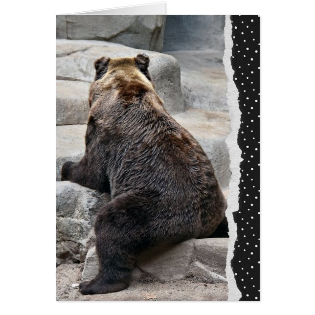 Cartão Urso para ir bem em breve (Frente)
