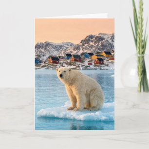 Cartão Urso Polar da Groenlândia de Aniversário Flutuando