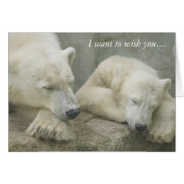 Cartão Urso Polar, quero desejar-lhe....