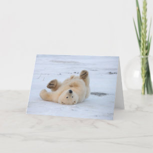 Cartão urso polar, Ursus maritimus, filhote 3